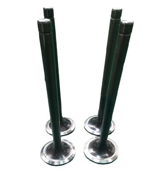 Valve Spindle